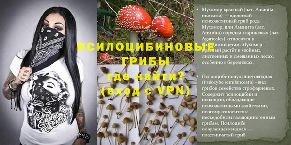 тгк Алексеевка
