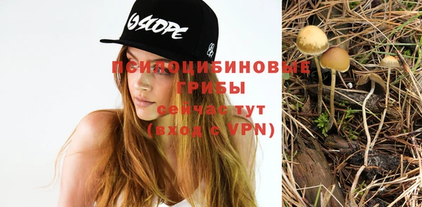 тгк Алексеевка