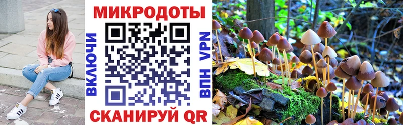 Галлюциногенные грибы ЛСД  ОМГ ОМГ зеркало  Черноголовка 