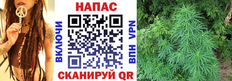 МАРИХУАНА марихуана  купить  цена  ссылка на мегу зеркало  Черноголовка 